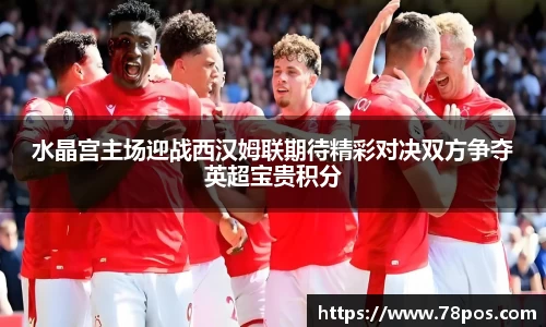 水晶宫主场迎战西汉姆联期待精彩对决双方争夺英超宝贵积分